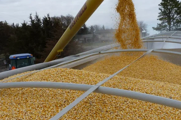 Украина вывозит резервы пшеницы из порта Одессы в Европу