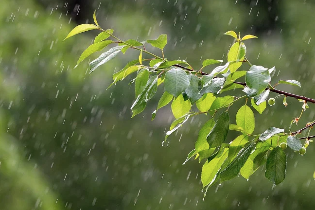 Погода в Армении: в отдельных горных районах возможны кратковременные грозовые дожди