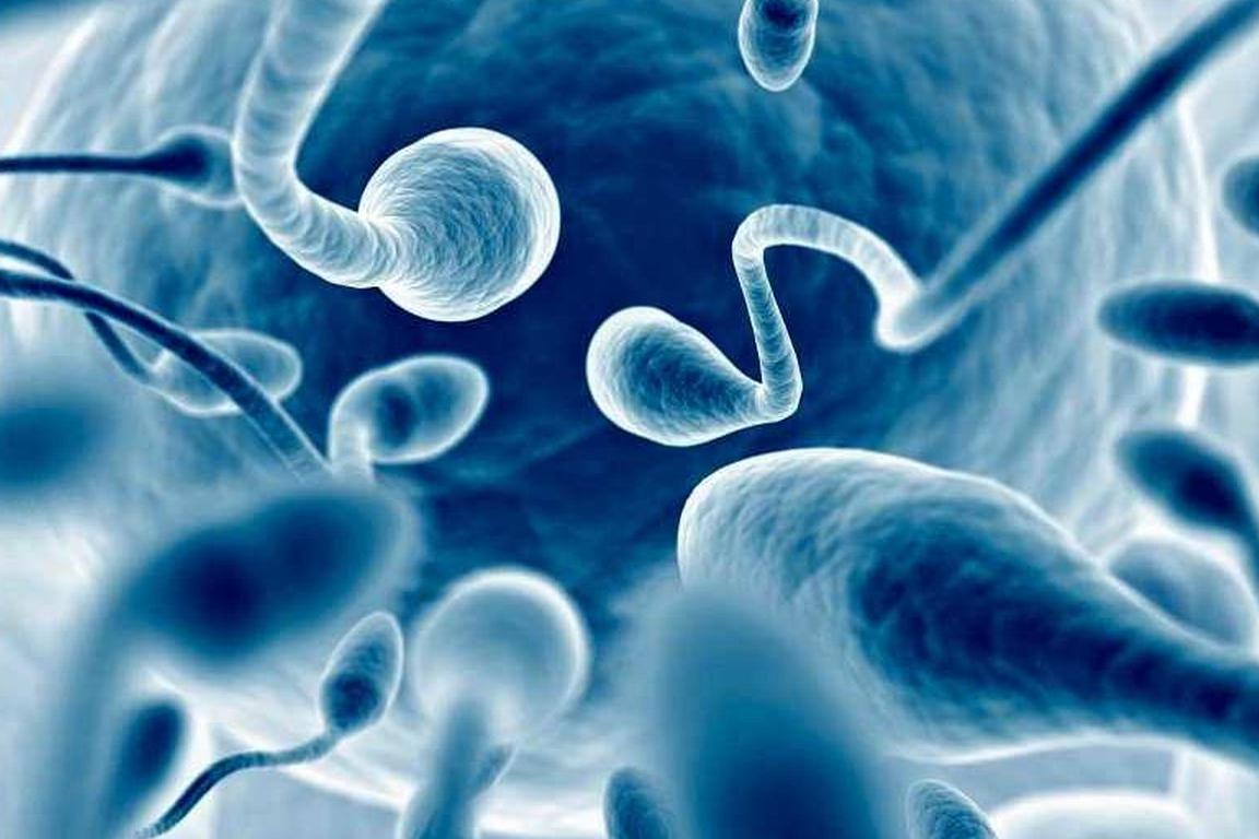 Роботизированная сперма против рака шейки матки: необычная терапия