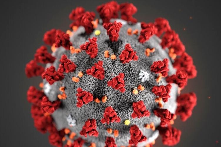 Человечество столкнулось с химерным вирусом, и как он появился остается большой загадкой: ученые