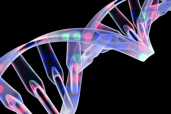В США одобрили генетические эксперименты на людях