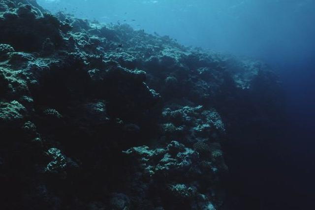 Откуда в океане мертвые зоны и чем они опасны