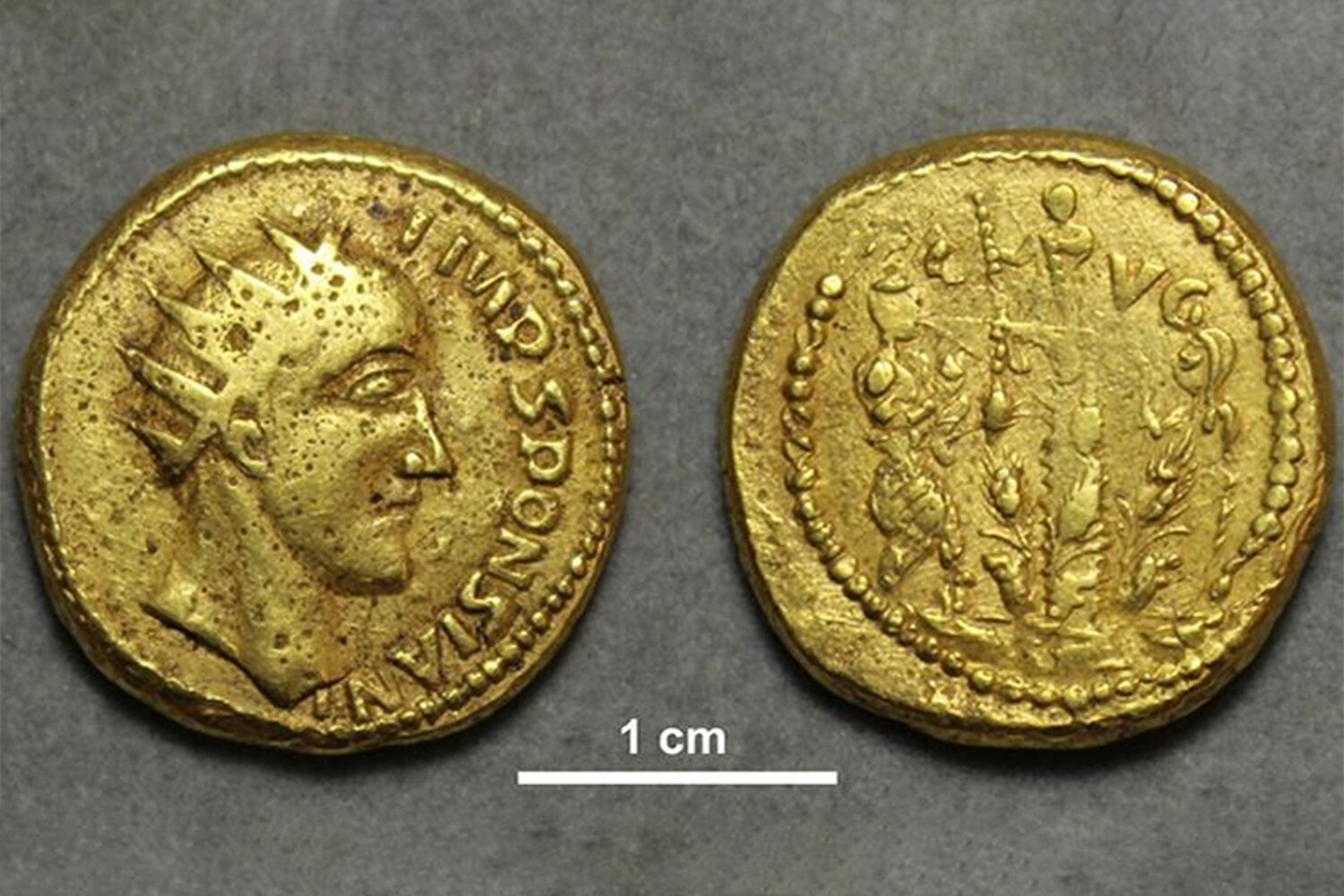 Считавшиеся поддельными монеты оказались подлинными и открыли правду о забытом императоре Рима