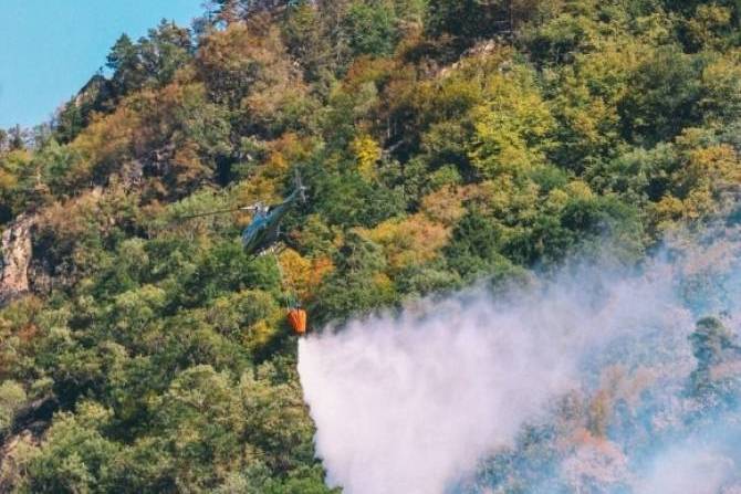 СМИ: пожар в окрестностях Тбилиси локализовали