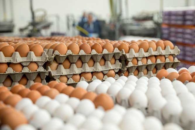 Վարչական դատարանը վերահաստատել է՝ 2021-ի ամռանը հավի ձվի գնի բարձրացումը գերիշխող դիրք է եղել․ ՄՊՀ