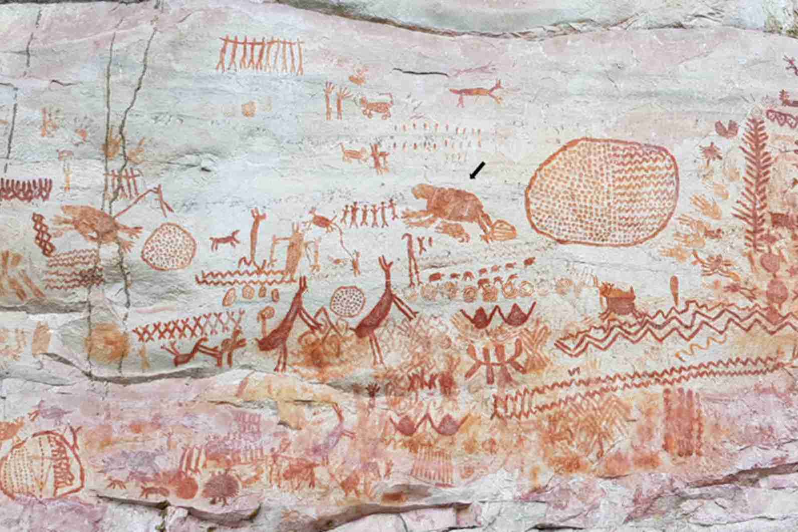 Невероятная находка: доисторические рисунки из Амазонии запечатлели вымерших гигантов ледникового периода