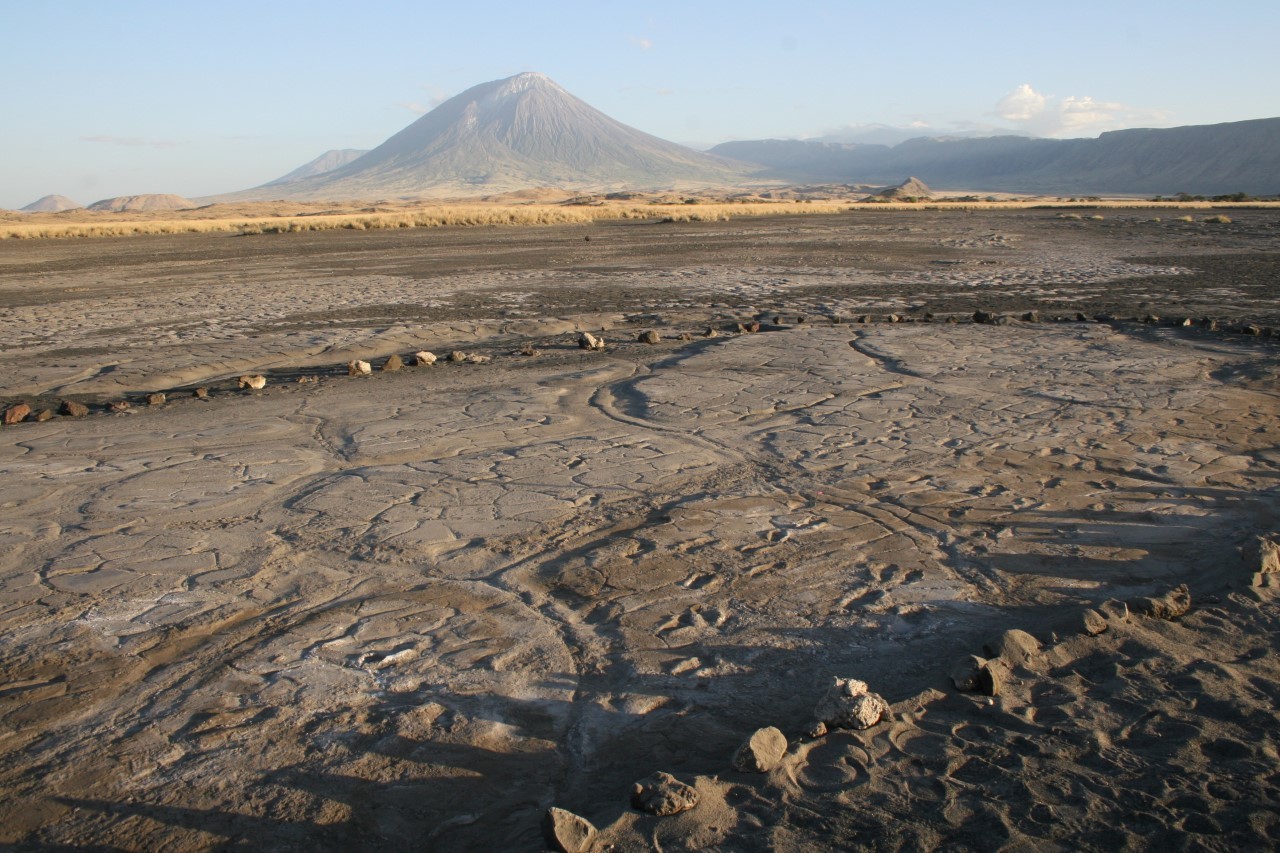 В затвердевшем вулканическом осадке на территории Танзации обнаружены древние следы людей