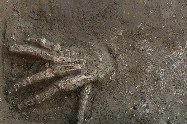 Первое физическое свидетельство древней практики: в древнем египетском дворце нашли ямы с отрубленными руками