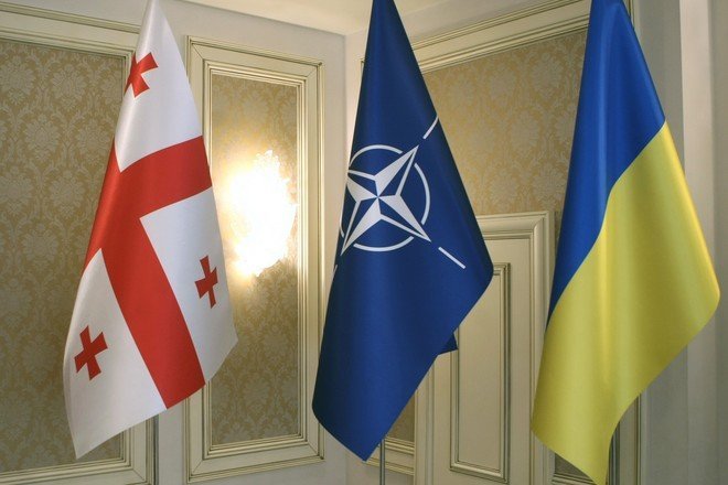 США продолжают поддерживать решение, что Грузия и Украина станут членами НАТО – Госдеп