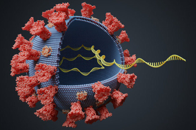 С точки зрения науки: почему мутации коронавируса не опасны