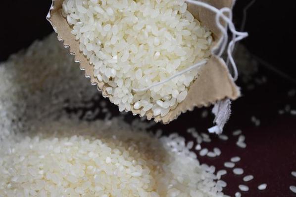 Россия запретила экспорт риса и кормовых добавок: решение не коснётся стран ЕАЭС