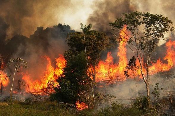 Այրվում է երկրագնդի ամենախիտ անտառներից մեկը՝ Ամազոնը