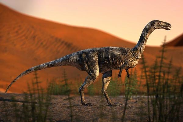 Как новый вид динозавров, описанный в Бразилии, помог решить загадку почти полувековой давности