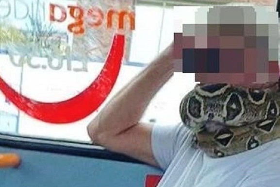 Жуткая «защита»: пассажир автобуса в Великобритании вместо маски надел… живую змею 