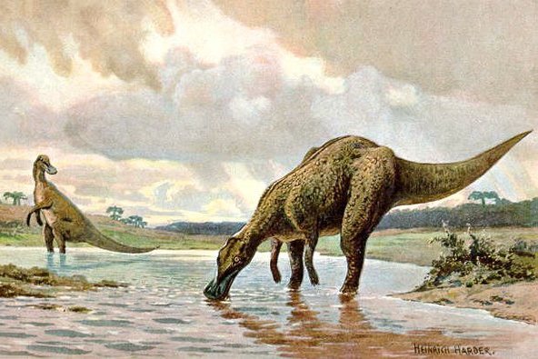 Очень необычная находка: палеонтологи  обнаружили череп динозавра, «инкрустированный» янтарем