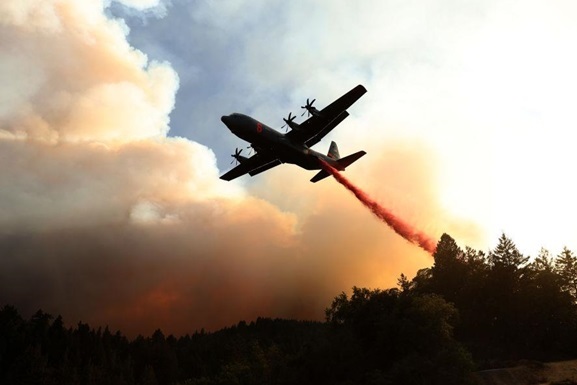 Природные массовые пожары этого года власти Калифорнии назвали историческими