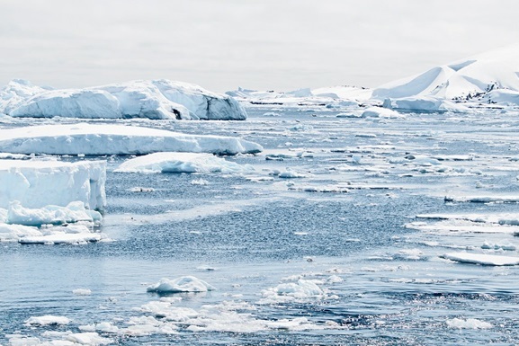 Всемирная метеорологическая организация ООН признала новый рекорд жары в Антарктиде