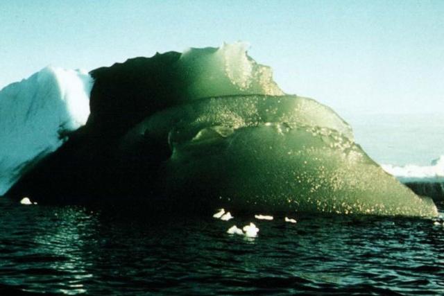 Загадка природы, разгаданная учеными: откуда в Антарктиде зеленый лед?