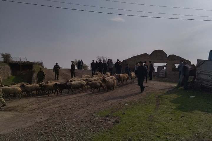 Հակառակորդը հետ է հանձնել Կոռնիձորի բնակչի 106 գլուխ ոչխարը, սահմանը հատած 3 ձիուց 2-ն էլ ինքնուրույն վերադարձել է․ Տողի համայնքապետարան