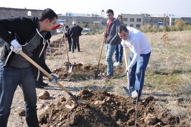 В Армении до 10-го октября 2020 года посадят 10 миллионов деревьев – Пашинян