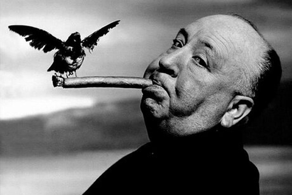 История одного шедевра: фильм «Птицы» - одна из самых известных и шокирующих работ Альфреда Хичкока 