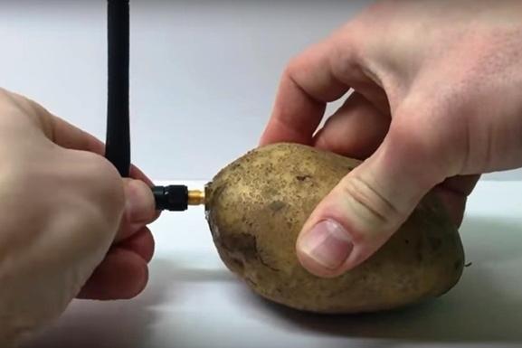 Картошка в роли голосового помощника: на технологической выставке презентован необычный гаджет – устройство, позволяющее «общаться» с… овощем