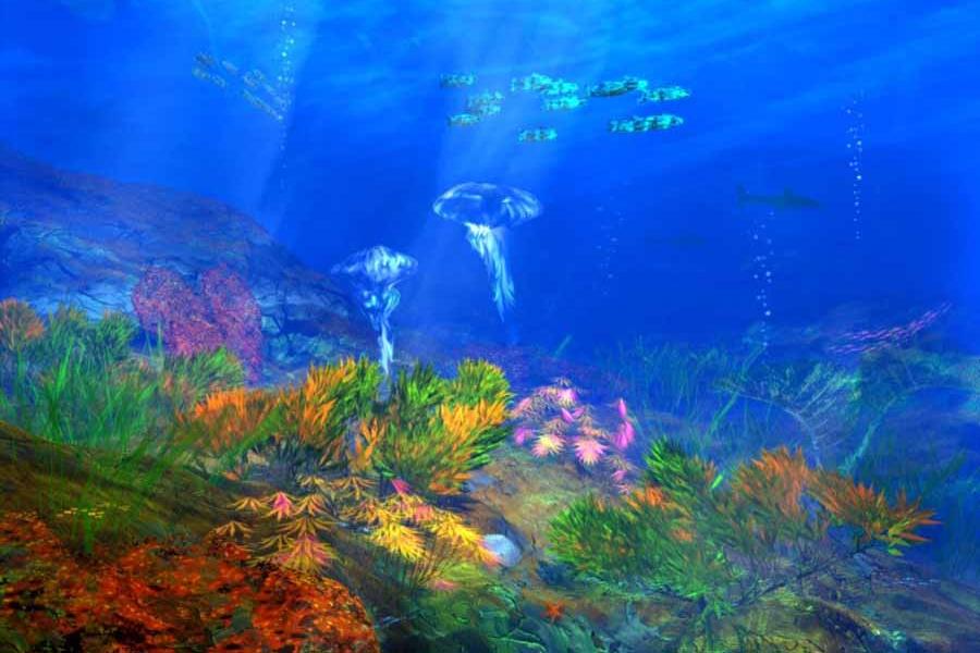 Разность температур воды может создать новые виды морских существ: исследование 