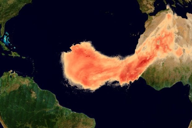 Пылевой поток «Годзилла» из Сахары направляется в Америку: но как ни странно, это неплохая новость