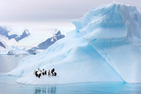 Антарктида перестала быть единственным континентом на планете без коронавируса