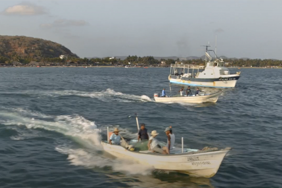 В Мексике прошел первый в мире турнир по «пластиковой рыбалке»: участники выловили из океана три тонны мусора