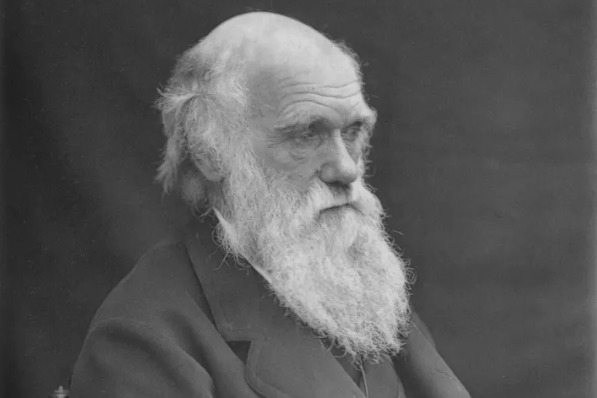 Неизвестный вернул пропавшие записные книжки Чарльза Дарвина библиотеке Кембриджа