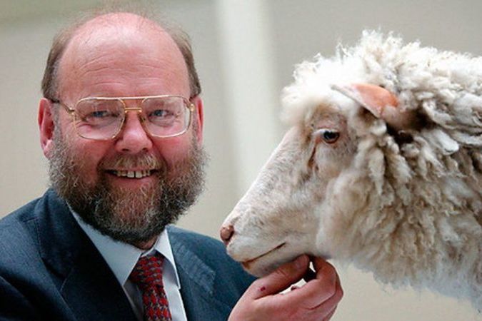 Скончался ученый Иэн Уилмут, создатель клонированной овцы Долли