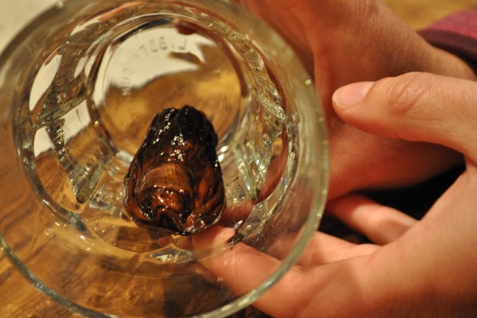 Любителям экзотики: пять самых невообразимых алкогольных напитков