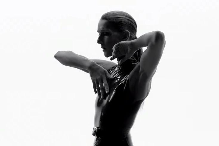 Селин Дион выпустила роскошный черно-белый клип на песню Courage