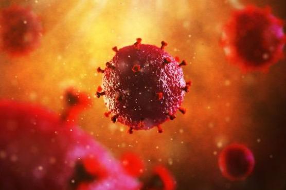«Швейцарский армейский нож иммунотерапии»: ученые рассказали о новом методе лечения ВИЧ