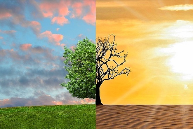 Сегодня Международный день климата