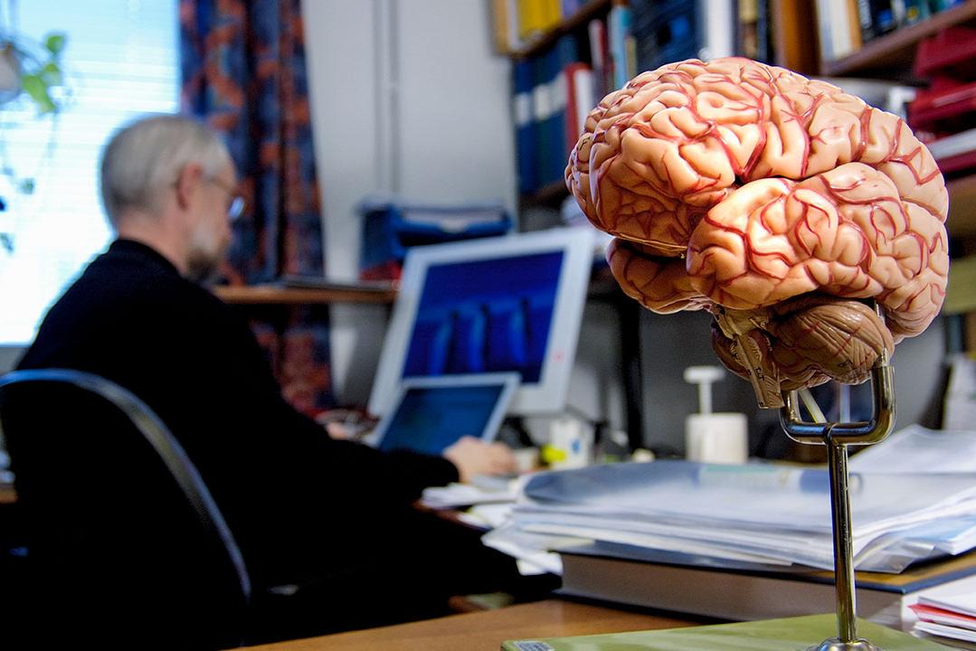 Как человеческий мозг запоминает череду событий: объяснили нейробиологи