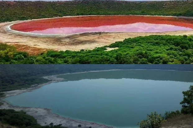 Метеоритное озеро Лонар в Индии за одну ночь полностью изменило цвет 
