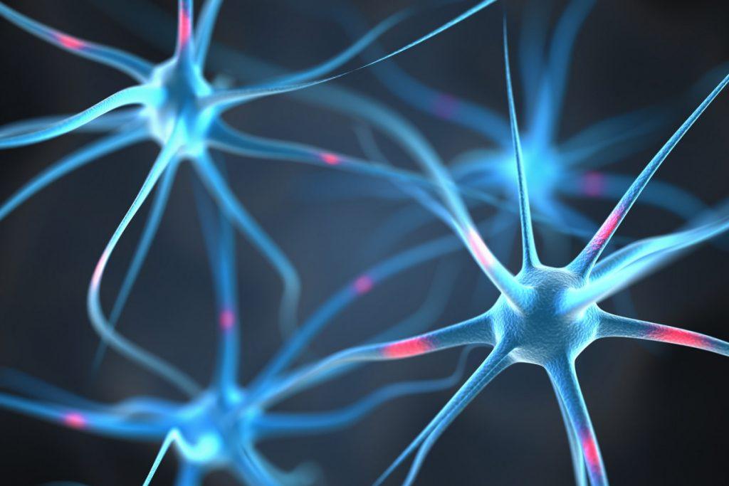 Ученые нашли причину появления врожденных дефектов нервной системы