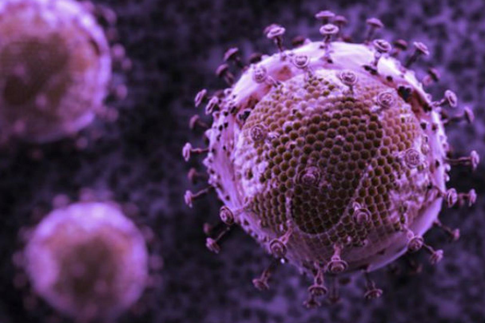 Американские ученые впервые полностью удалили ВИЧ из организма