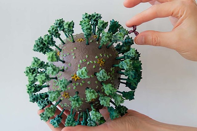 Потрогать коронавирус: ученые создали первую биологически точную модель SARS-CoV-2, которую можно отпечатать на обычном 3D-принтере