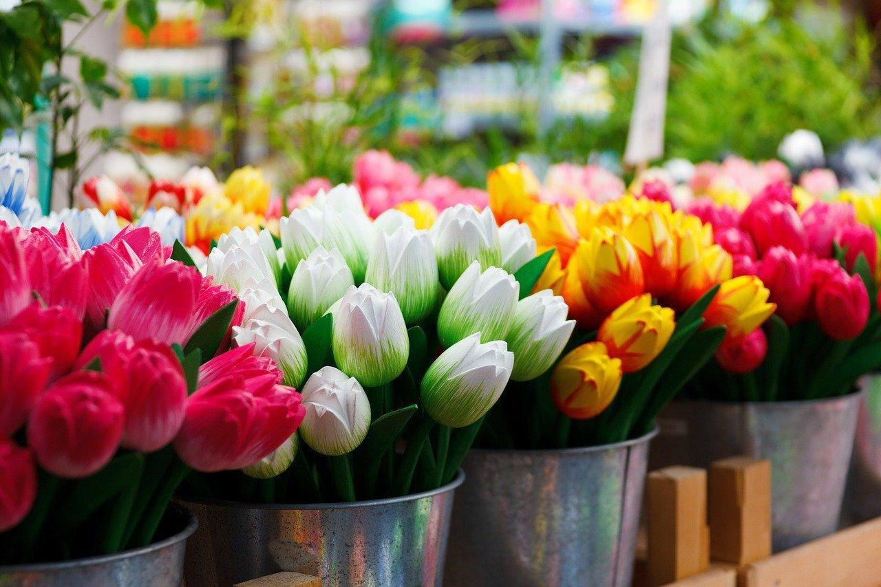 В этом году Нидерландам пришлось каждый день уничтожать миллионы цветов: пандемия сократила спрос