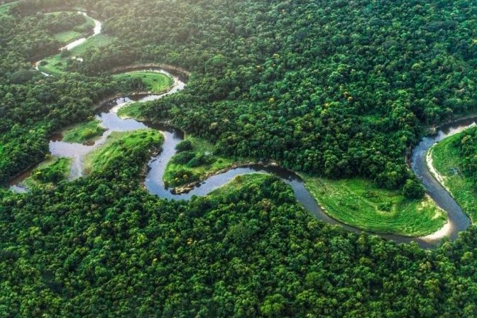 Как минимум десять лесов планеты выделяют больше углерода, чем поглощают: доклад ЮНЕСКО