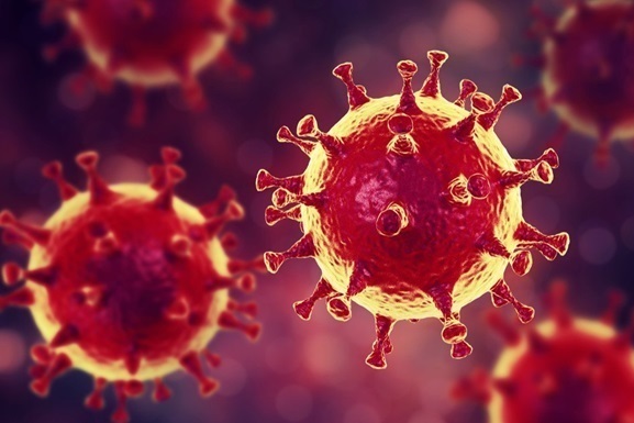 Kак «звучит» коронавирус: биологи превратили колебания шиповидного белка в звук
